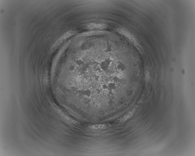 X0000080190353200612221346