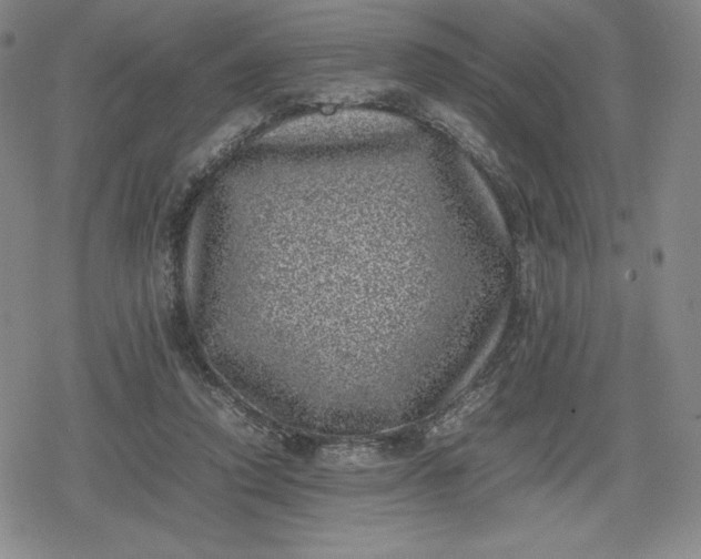 X0000080190354200612221346