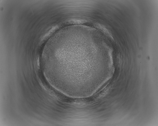 X0000080190358200612221346