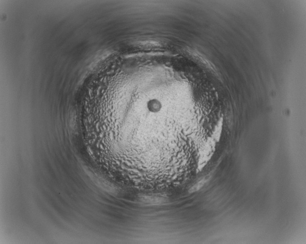 X0000080190359200612221346