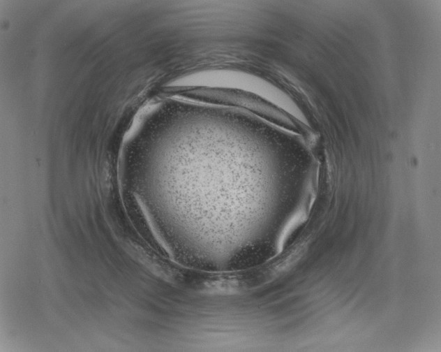 X0000080190362200612221346