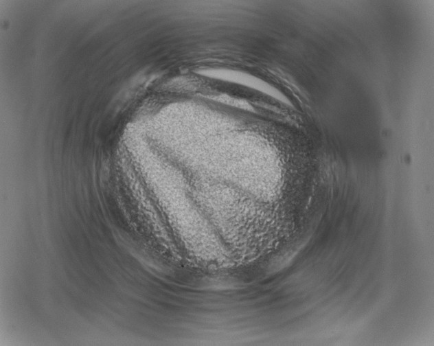 X0000080190365200612221346