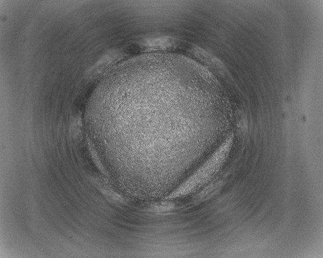 X0000080190369200612221346