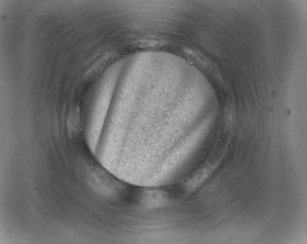 X0000080190376200612221347
