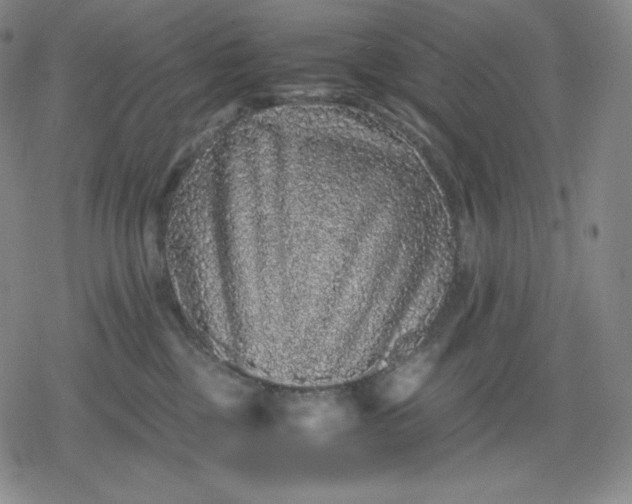 X0000080190377200612221347