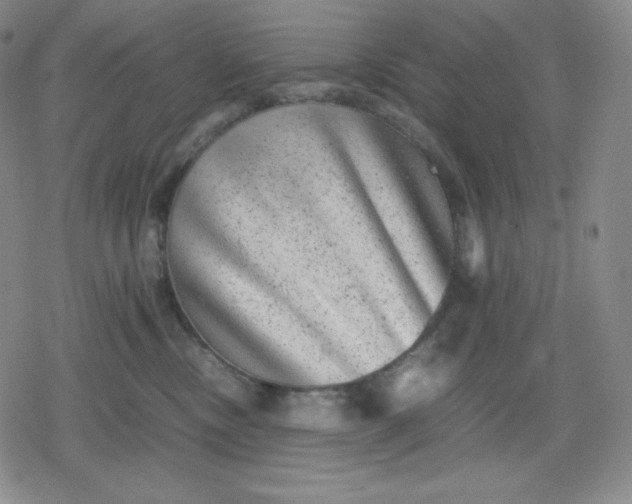 X0000080190378200612221347