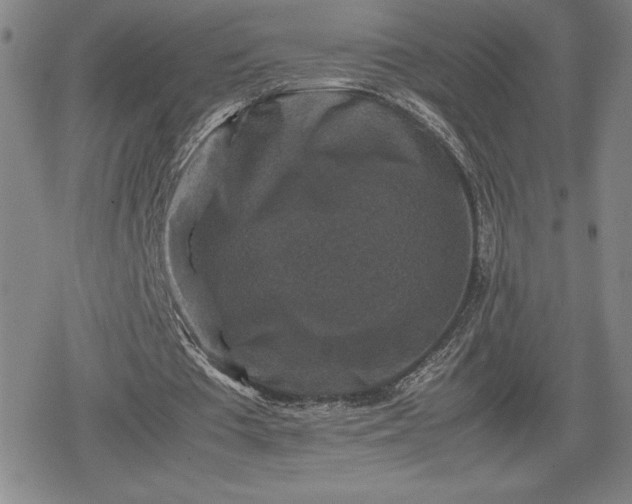 X0000080190385200612221346