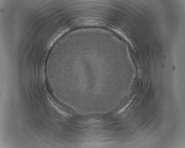 X0000080190390200612221346