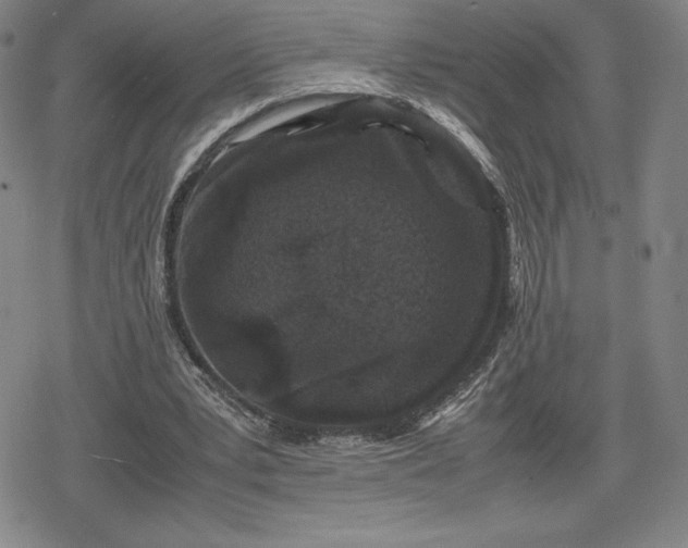 X0000080190391200612221346