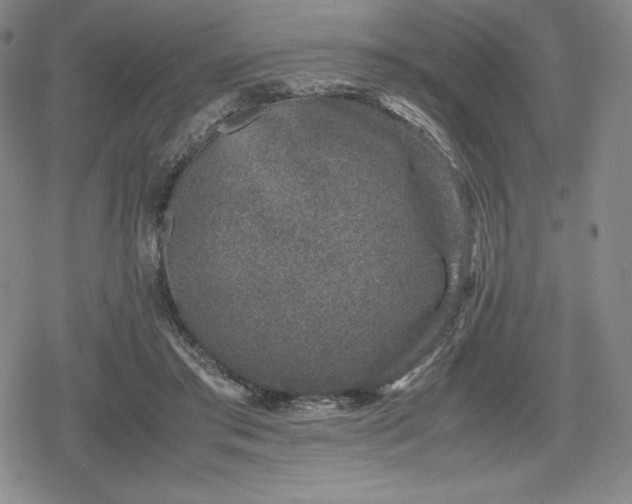 X0000080190405200612221346