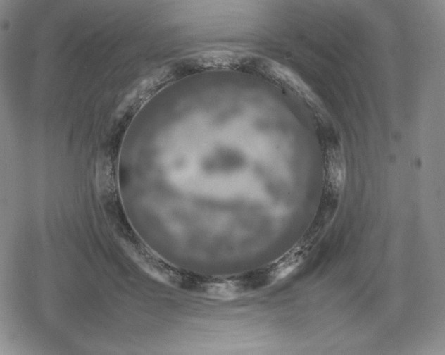X0000080190411200612221345