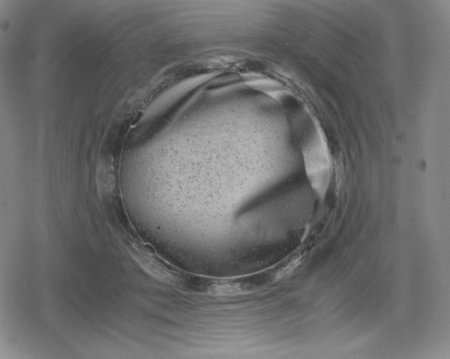 X0000080190413200612221345
