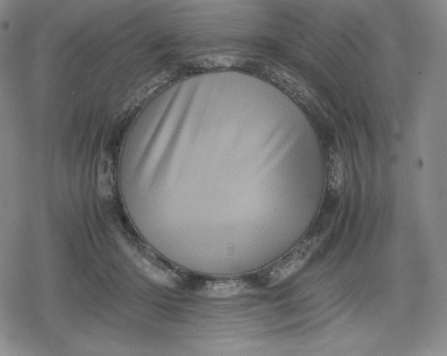 X0000080190414200612221345