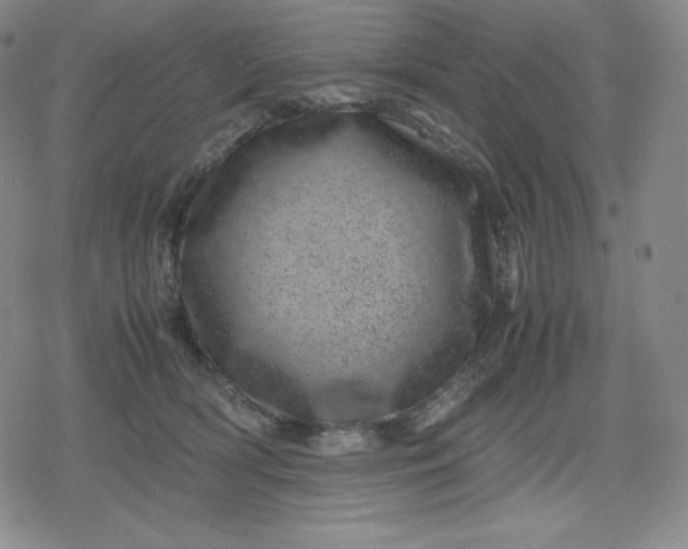 X0000080190418200612221345