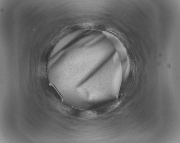 X0000080190421200612221345