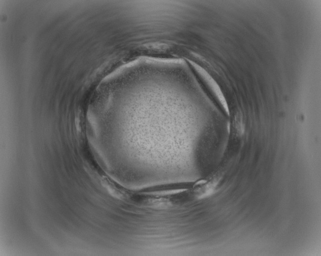 X0000080190424200612221345