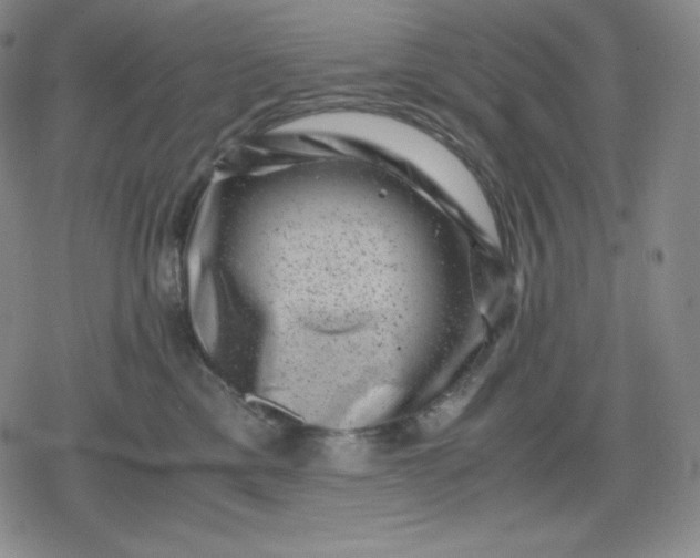 X0000080190425200612221345