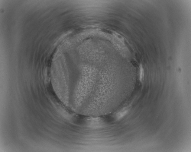 X0000080190428200612221345