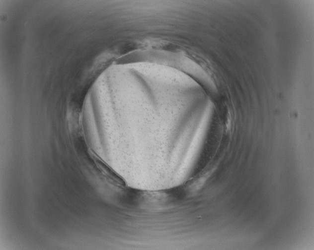 X0000080190429200612221345