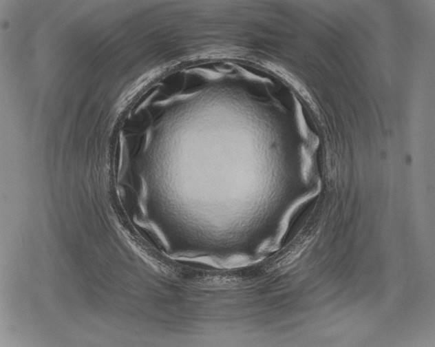 X0000080190437200612221344