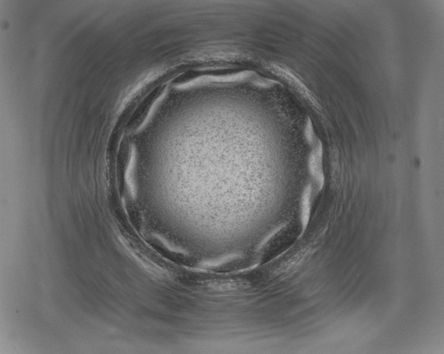 X0000080190439200612221344