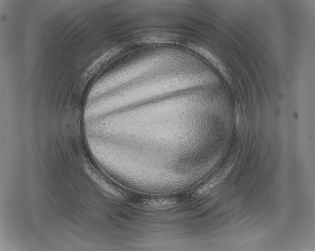X0000080190445200612221345