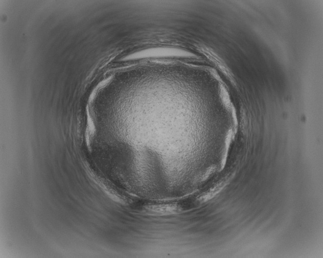 X0000080190449200612221345