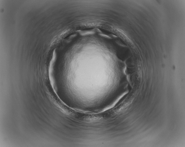 X0000080190453200612221345