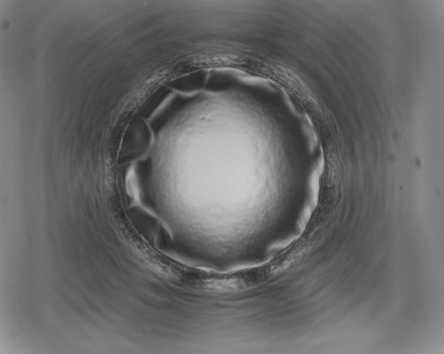 X0000080190457200612221345