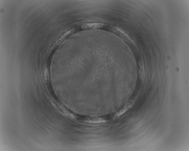 X0000080190459200612221345