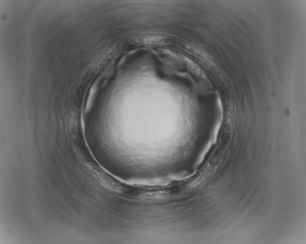 X0000080190461200612221345