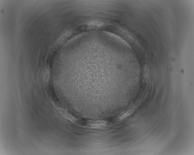 X0000080190463200612221345