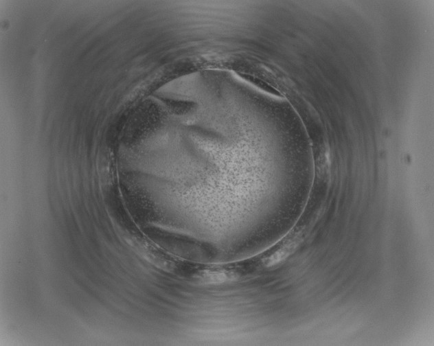 X0000080190464200612221345