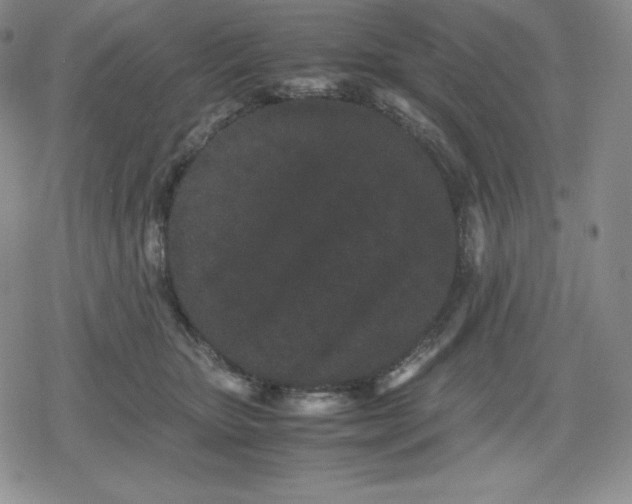 X0000080190467200612221345