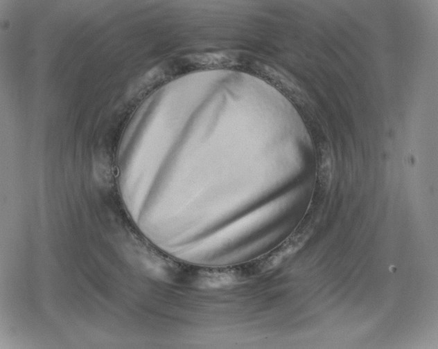 X0000080190469200612221345