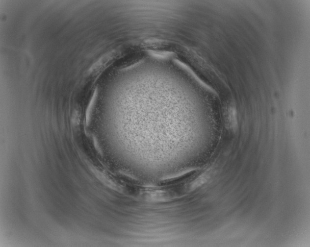 X0000080190472200612221345