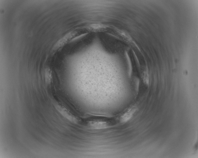 X0000080190476200612221345