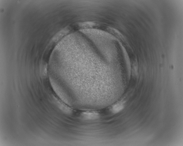 X0000080190477200612221345