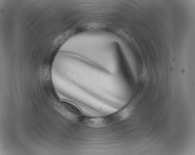 X0000080190478200612221345