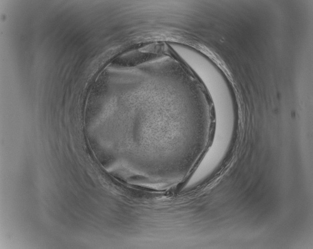 X0000080190481200612221344