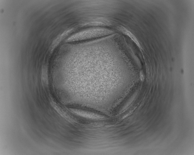 X0000080190482200612221344