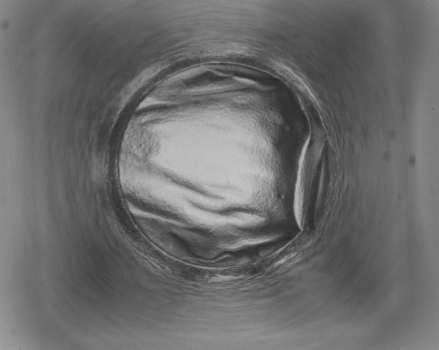 X0000080190483200612221344