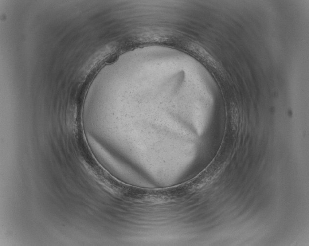 X0000080190490200612221344