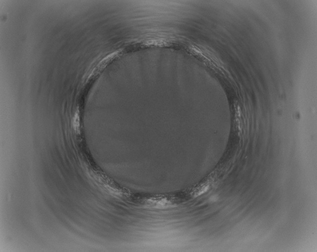 X0000080190502200612221344