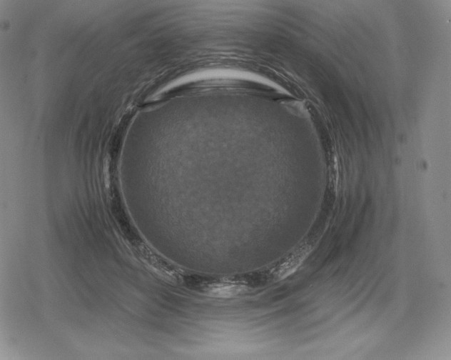 X0000080190504200612221344