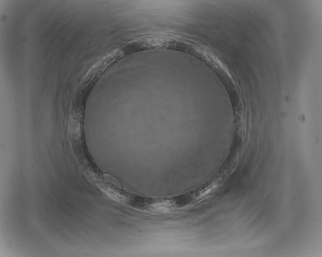 X0000080190505200612221344