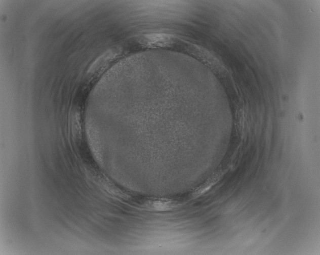X0000080190506200612221344