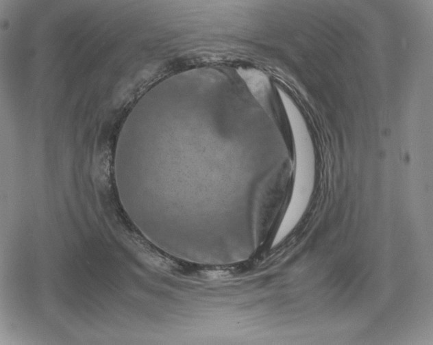 X0000080190509200612221344