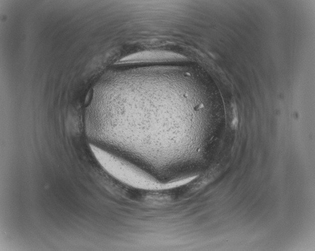 X0000080190515200612221344