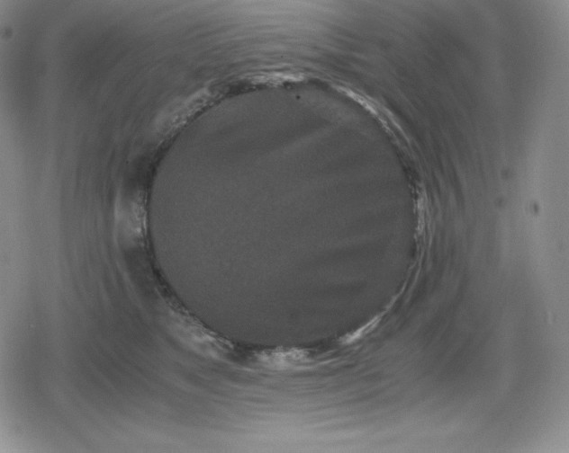X0000080190517200612221344